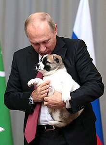 Vladimir Putin holding a dog