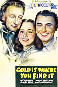 The cover of Gold Is Where You Find It