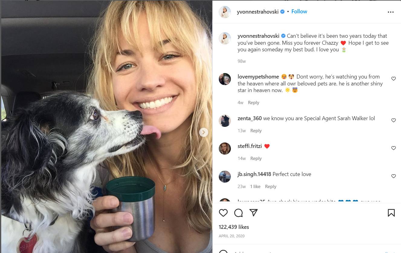 Yvonne Strahovski published an article about her dog Chazzy
