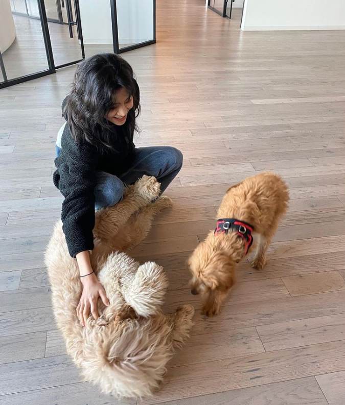 Jung Ho-yeon playing with some dogs