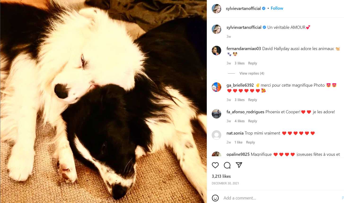 Sylvie Vartan posted about her dogs