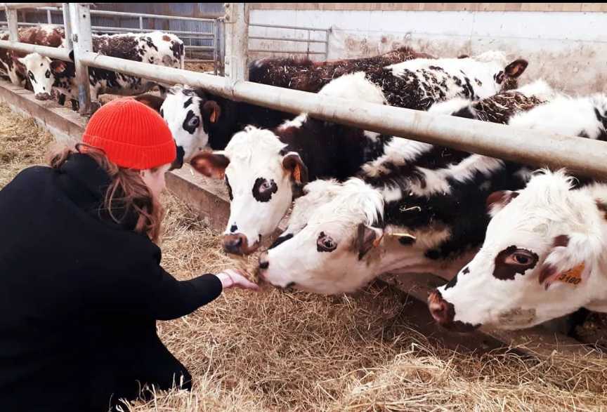 Julie Hammett on a farm