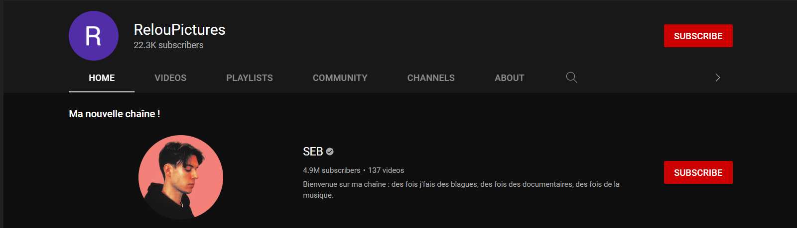 Old youtube channel of Seb la Frite, Relou Pictures