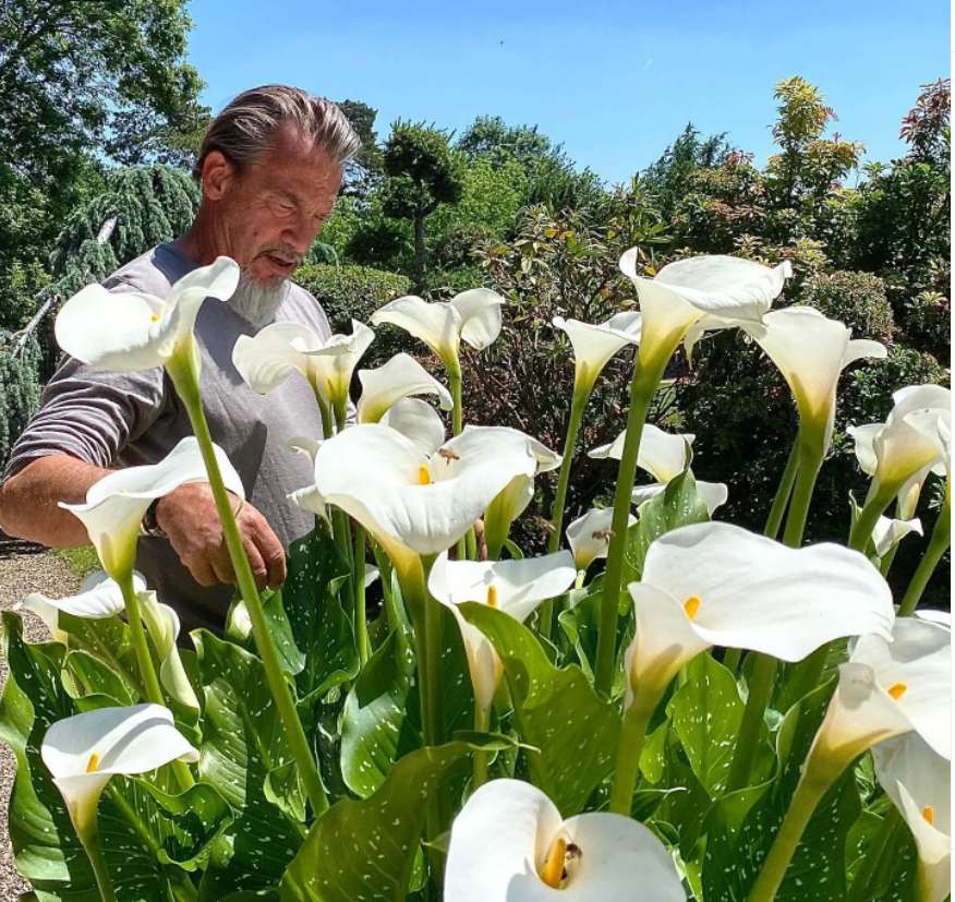 Florent Pagny in his garden