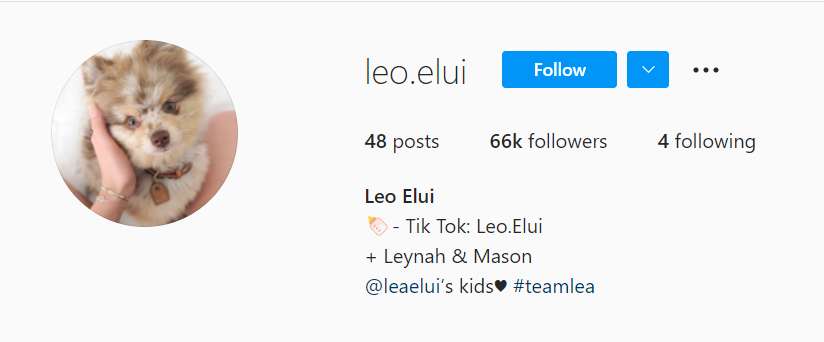 The Instagram account of Lea Elui's dog, Léo